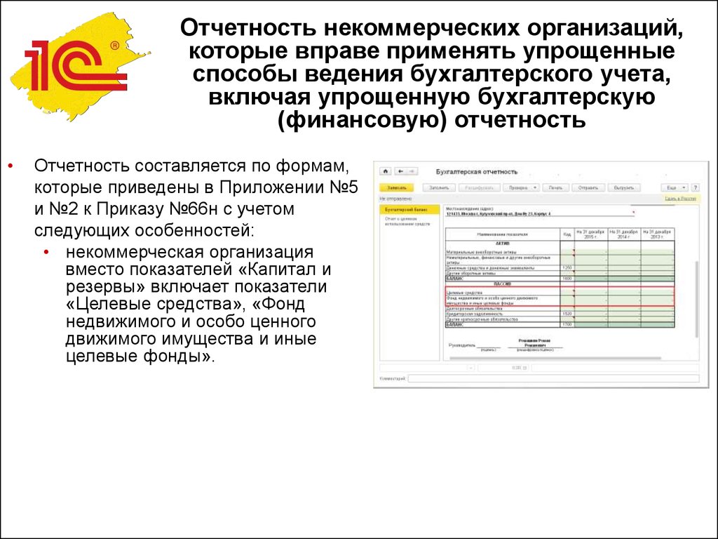 Годовой отчет некоммерческой организации образец