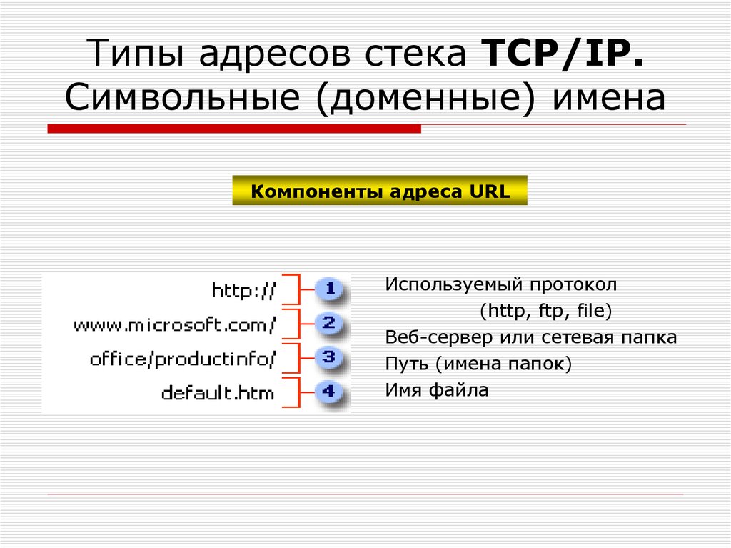 Оценка домена. Символьные Доменные имена. Типы IP адресов. Типы адресов в IP сетях. Типы сетевых адресов.
