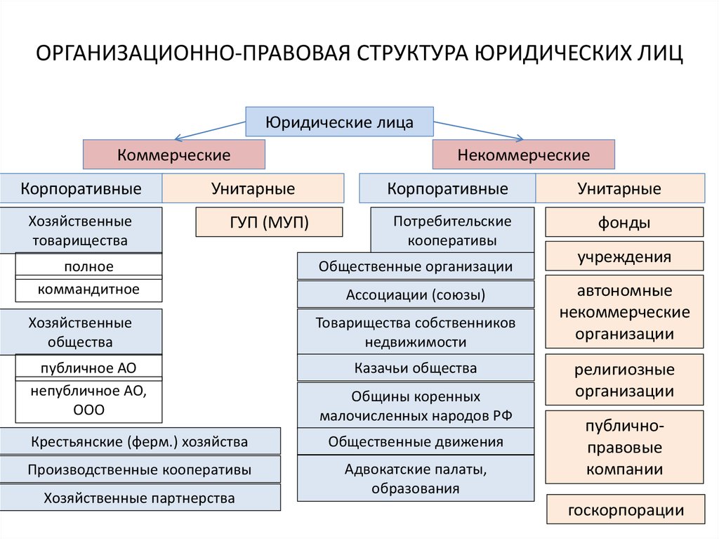 Юридические лица в схемах