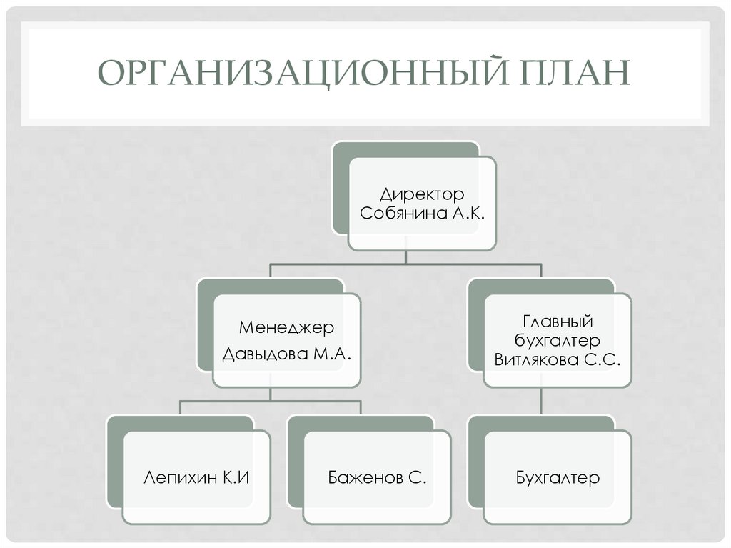 Организационный план содержит сведения о статусе предприятия