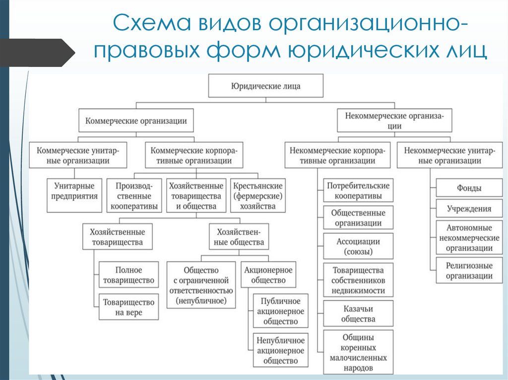 Организационно правовые формы организации презентация