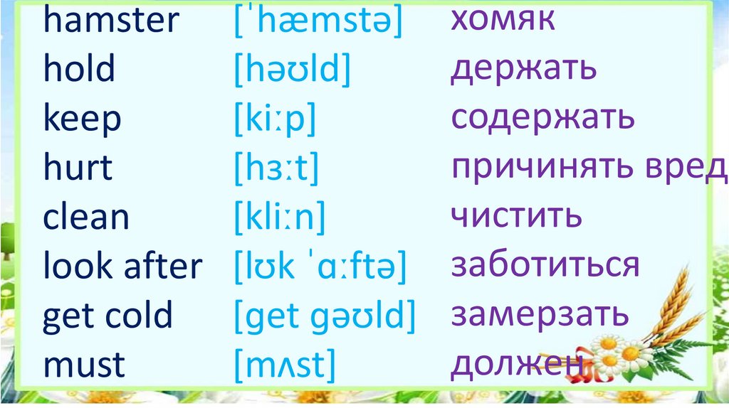 Got pet перевод на русский. Hamster транскрипция. Предложения с hold. Предложение с to keep. Презентация my Pets 4 класс.