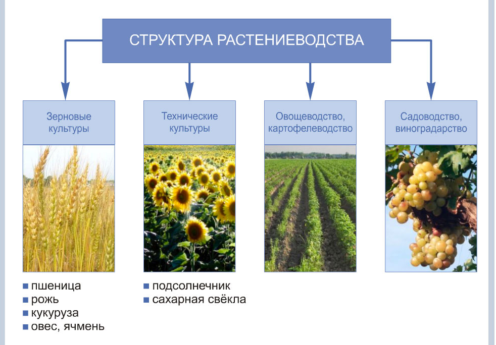 Заполни схему земледелие