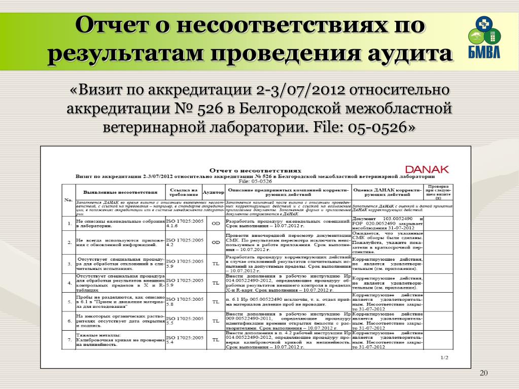 Отчет внутреннего аудитора по результатам проверки образец