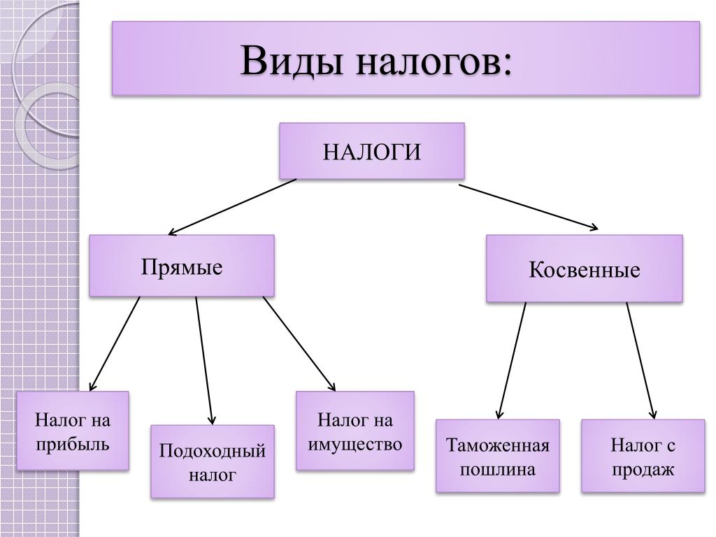 Схема налоги обществознание 8 класс