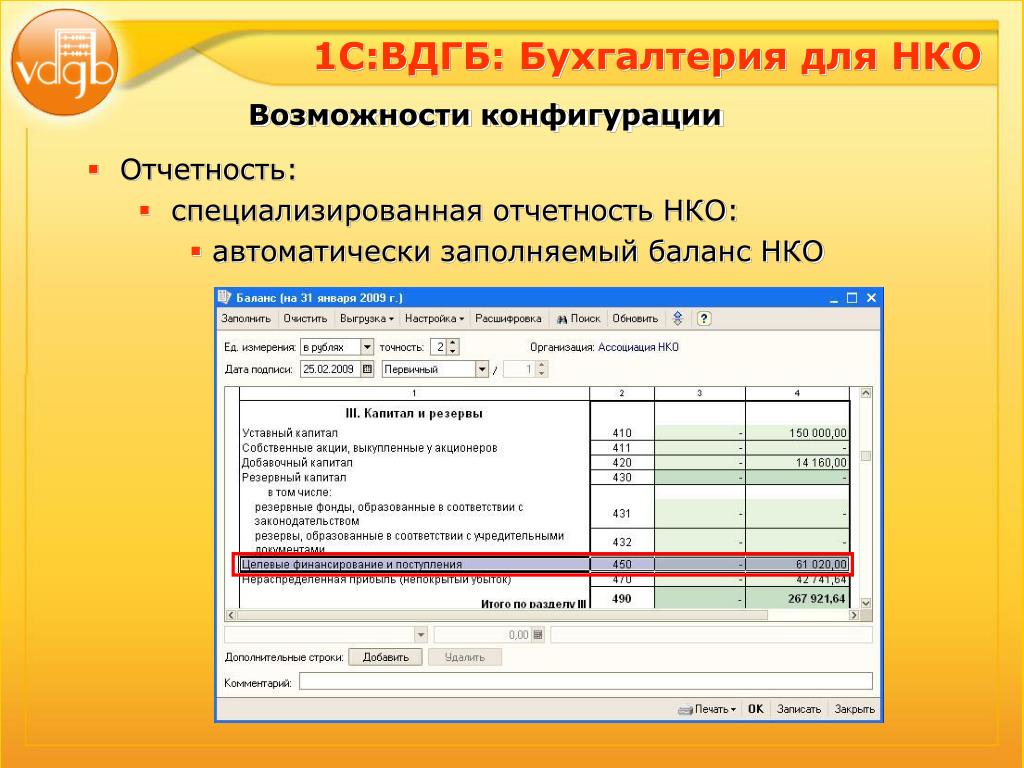 Баланс для нко образец