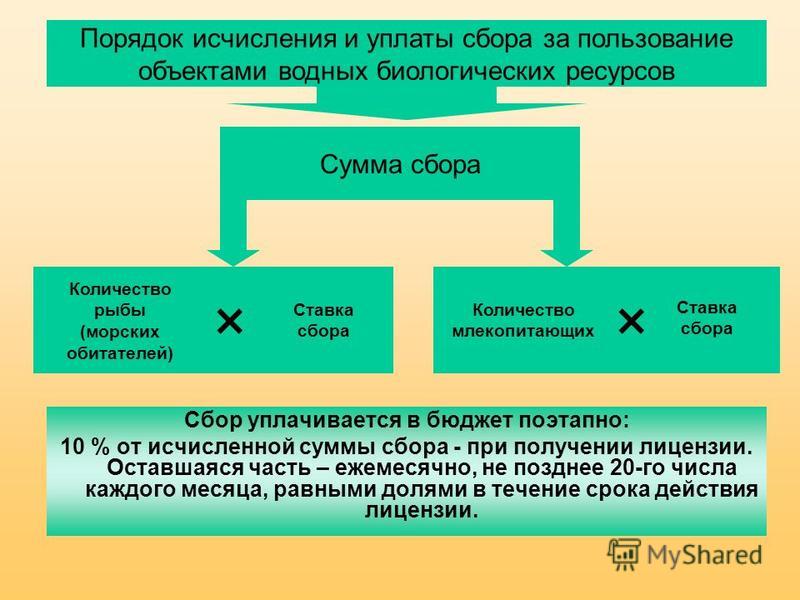 Госпошлина презентация по налогам