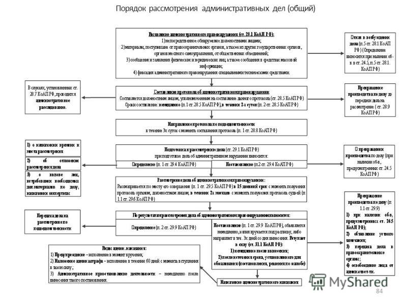 План проверки заявления