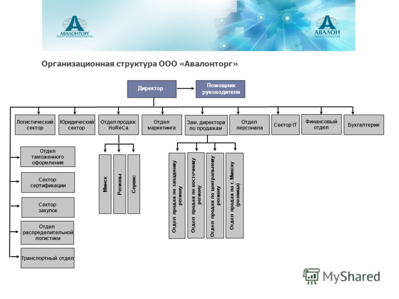 Ооо строение. Организационная структура предприятия ПАО магнит. Организационная структура летуаль схема. Организационная структура управления магнит. Организационная структура управления ПАО магнит.