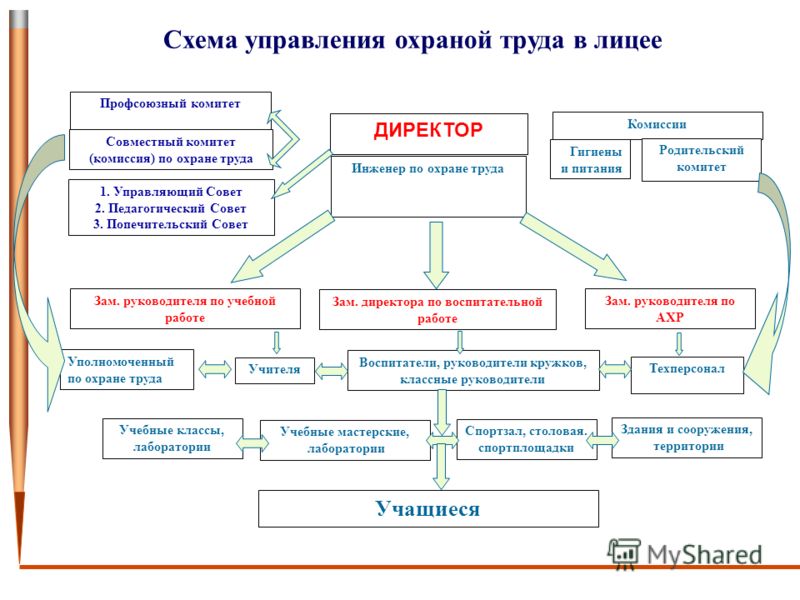 Положение о системе управления охраной труда в организации образец в школе