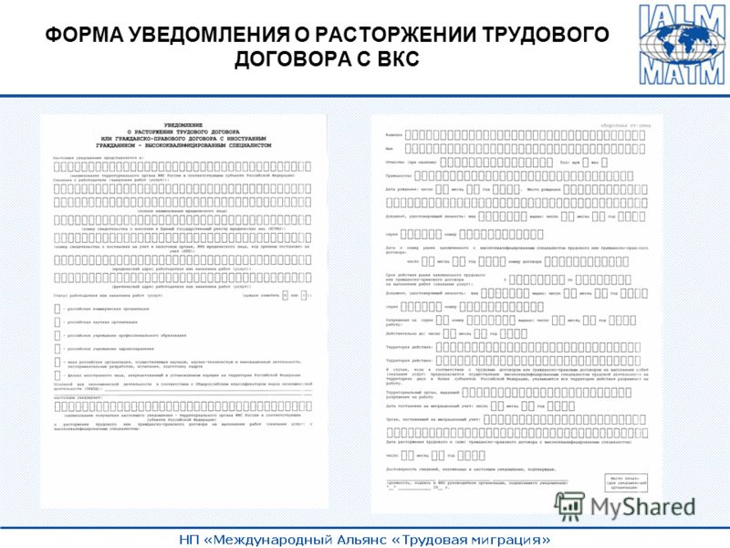 Трудовой договор с вкс по новым правилам образец