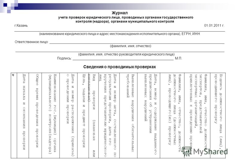 Образец журнала проверок контролирующими органами