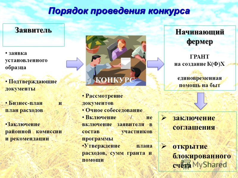 Бизнес план для получения земли в аренду под ведение фермерского хозяйства