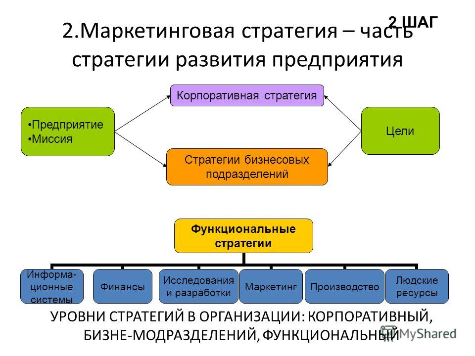 Маркетинговая стратегия проекта