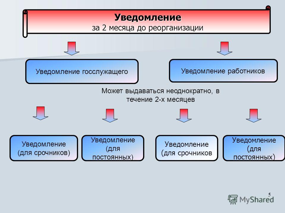 Дорожная карта ликвидации юридического лица