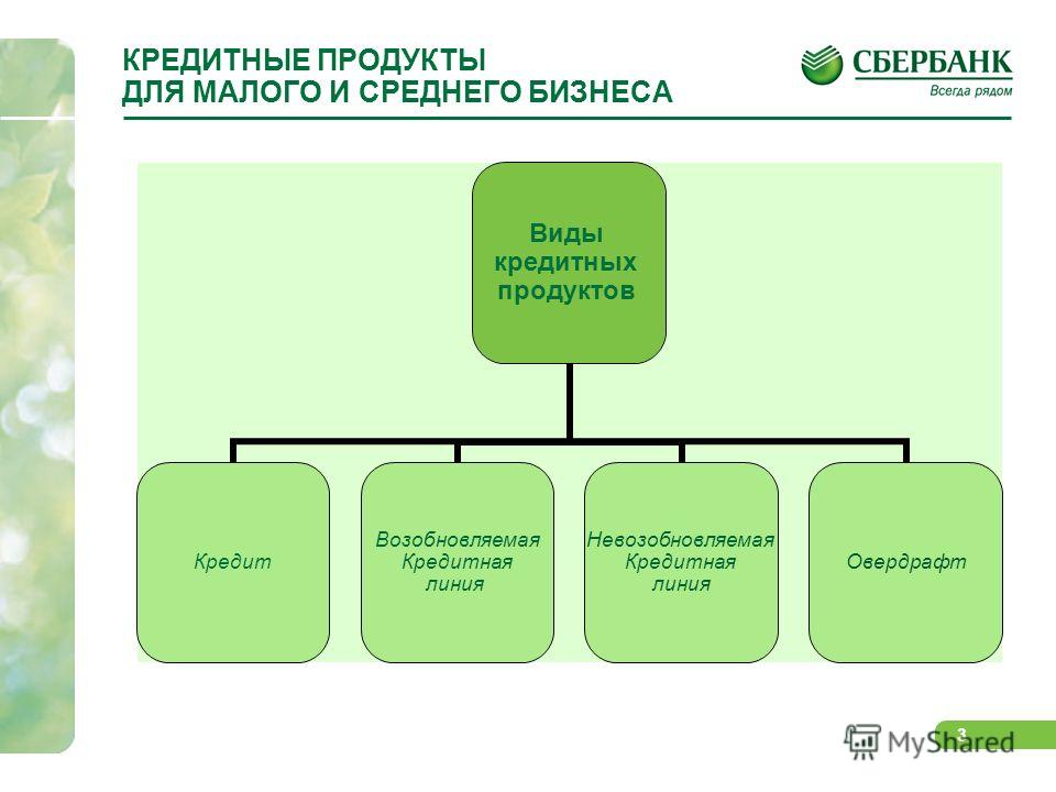 Вид кредитного продукта это