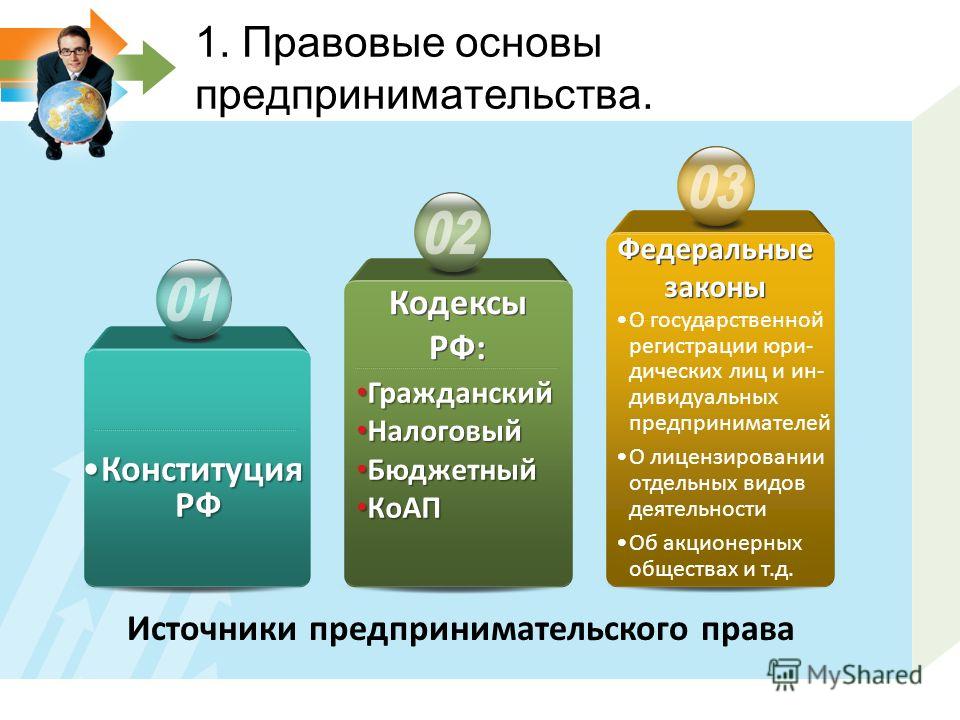 Предпринимательская деятельность в рф план