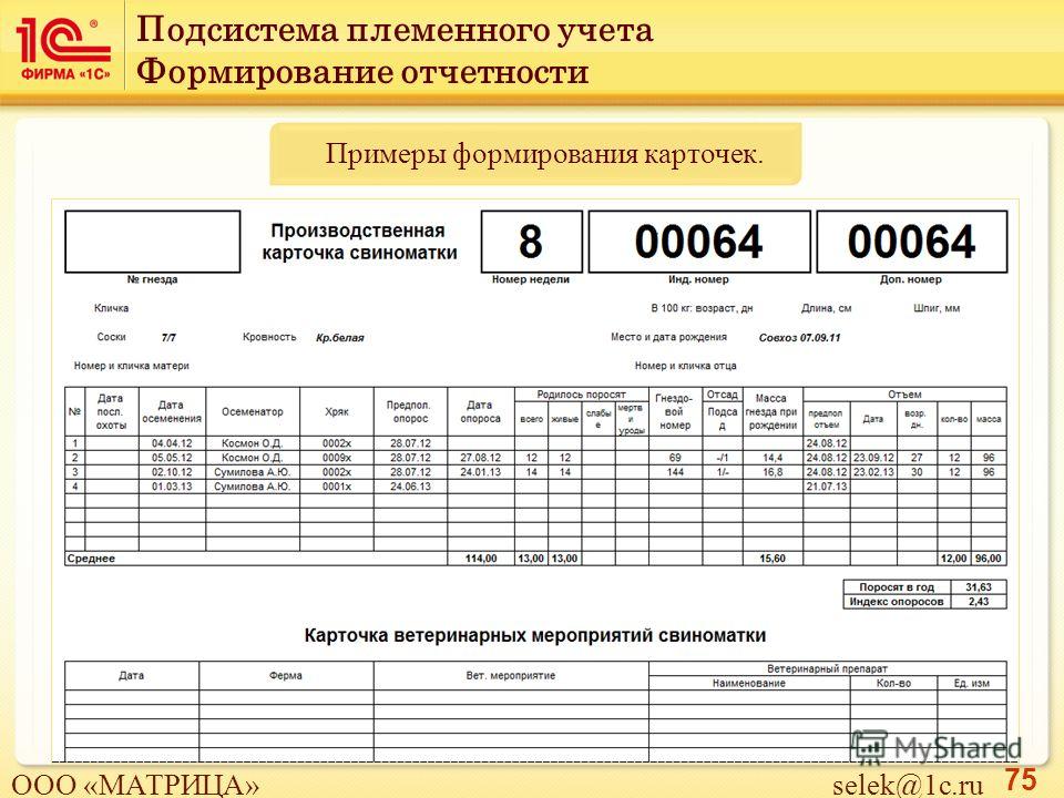 Ф 0504206 карточка учета выдачи имущества в пользование ф 0504206 образец