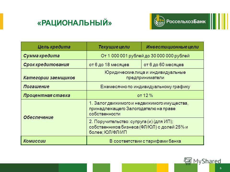 Бизнес план для банка на получение кредита