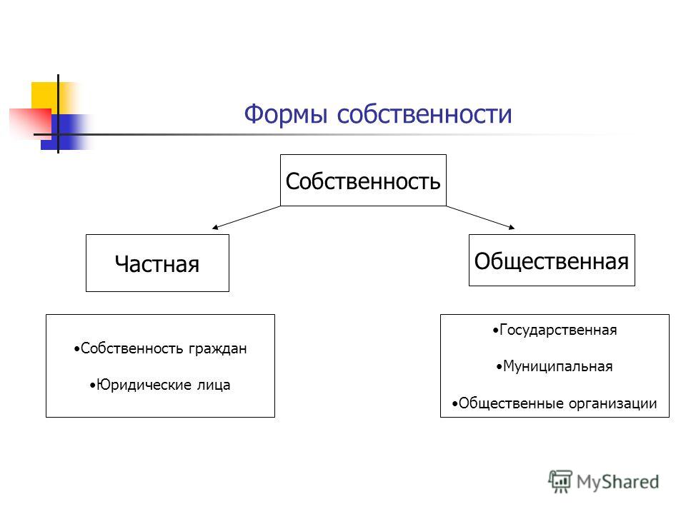 Формы и виды собственности. Частная и общественная собственность. Форма собственности общественной организации. Формы собственности примеры. Формы собственности предприятий.