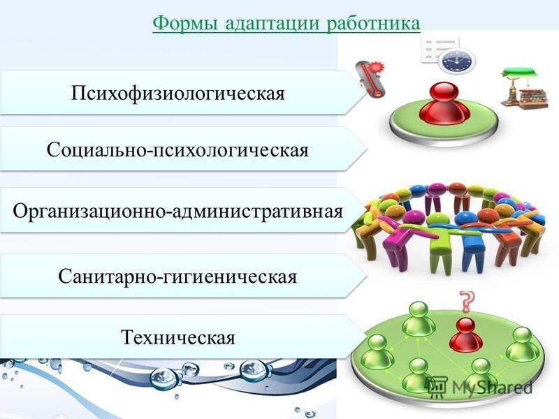 Адаптация персонала в компании тойота