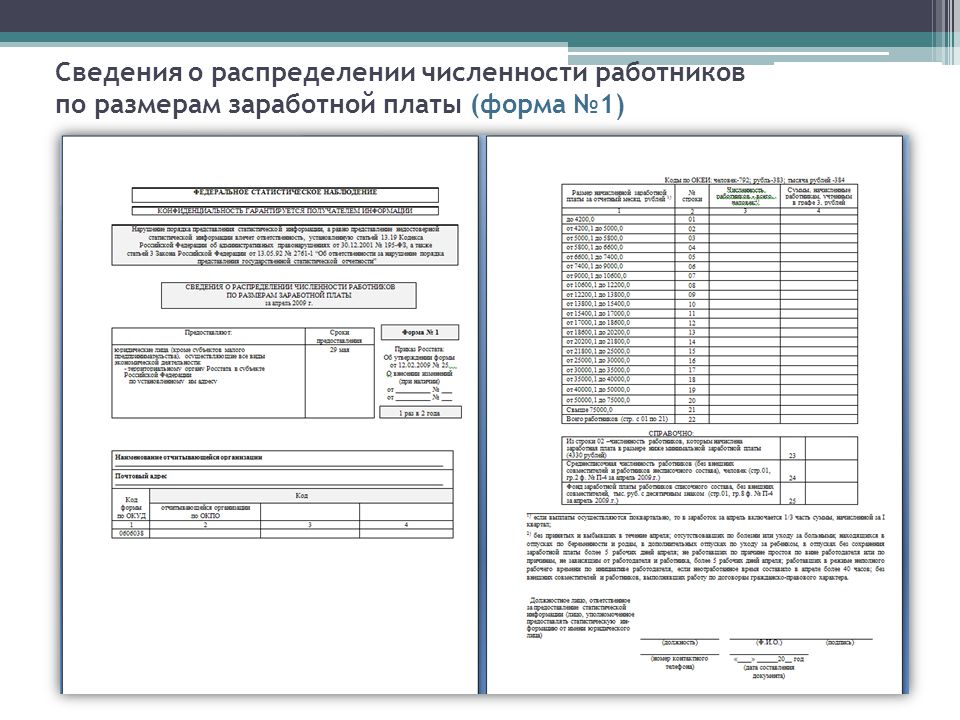 Сведения о распределении численности работников по размерам заработной платы образец заполнения