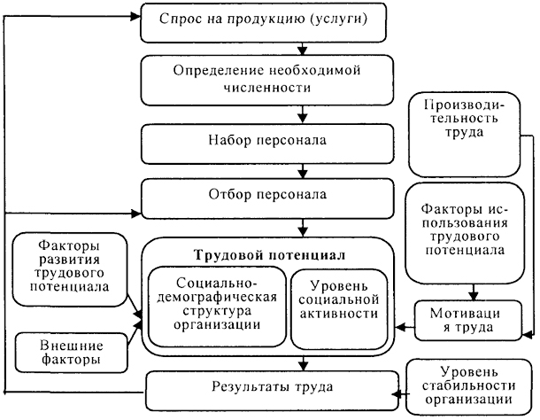 Блок схема подбор персонала