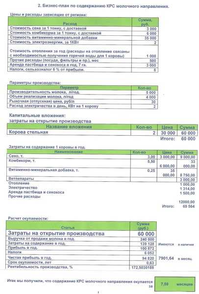 Составить бизнес план для открытия собственного дела образец для соцзащиты