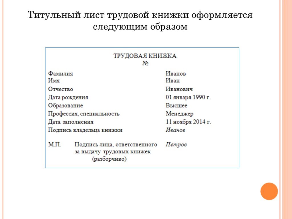 Следующую оформи. Титульный лист и структура документа. Классификация по личному составу. Документация по личному составу схема. Классификация документации по личному составу.