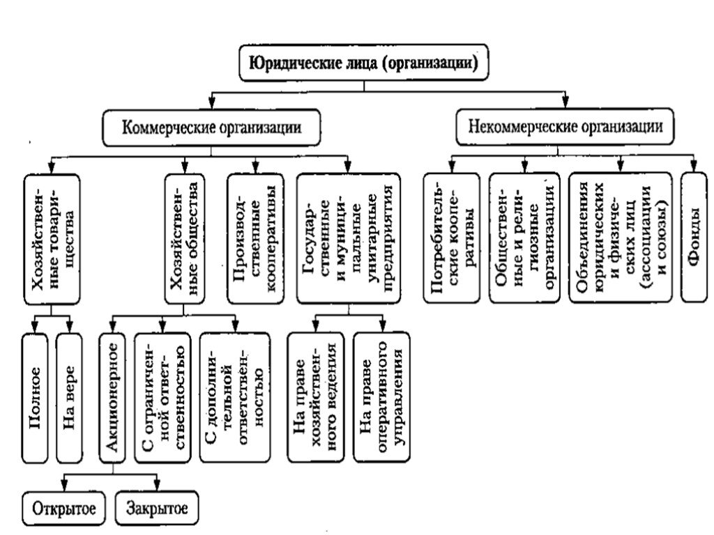 Коммерческие юридические лица презентация