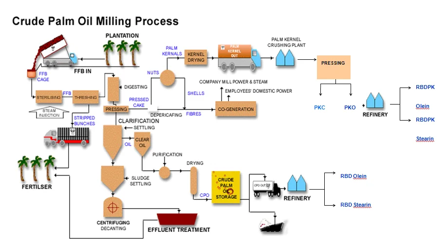 Crude oil products. Palm Oil Production process. Oil refining process. Схема добывания пальмового масла. Технология производства пальмового масла схема.