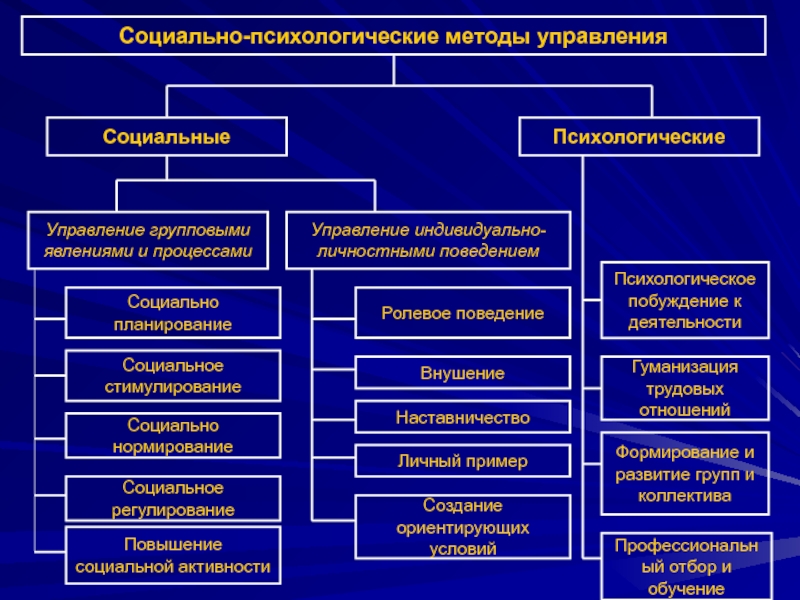 Какой компонент должен быть обязательно включен в план экспериментального исследования