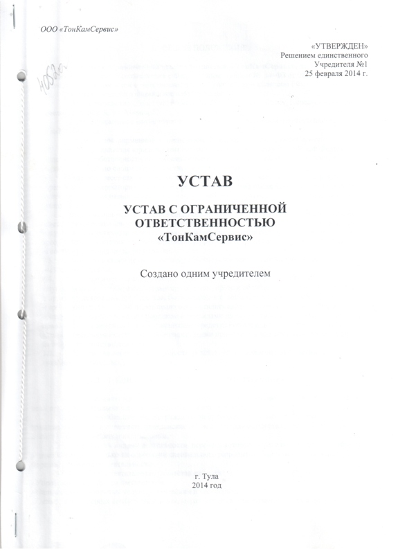 Типовой устав с одним учредителем. Устав ООО С одним учредителем. Типовой устав ООО образец. Устав ООО С единственным учредителем. Устав ООО пример.