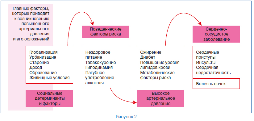 Программа поведенческий фактор