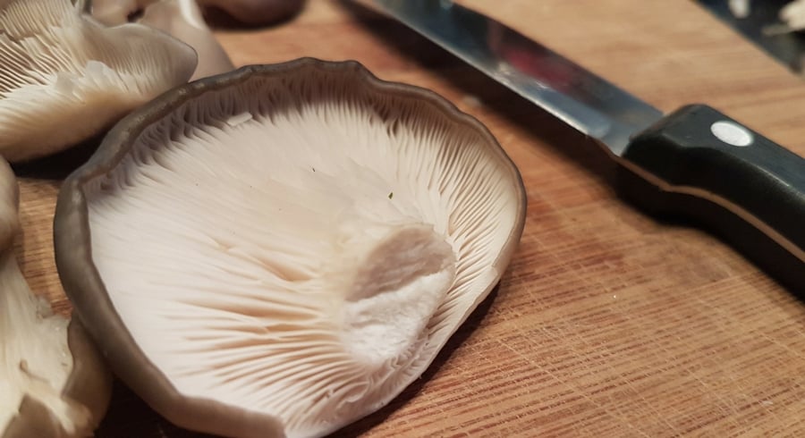 cooking-oyster-mushrooms