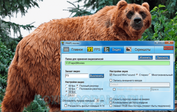 Fraps русская версия для Windows 10, 7, 8, Xp, Vista