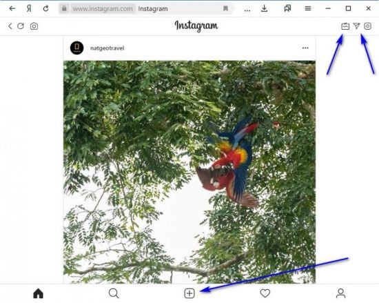 кнопки для загрузки фотографий и записи Сториз