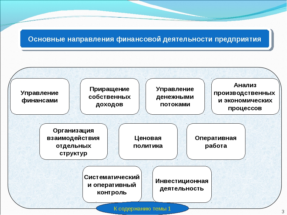 Организация осуществляющая собственно проект