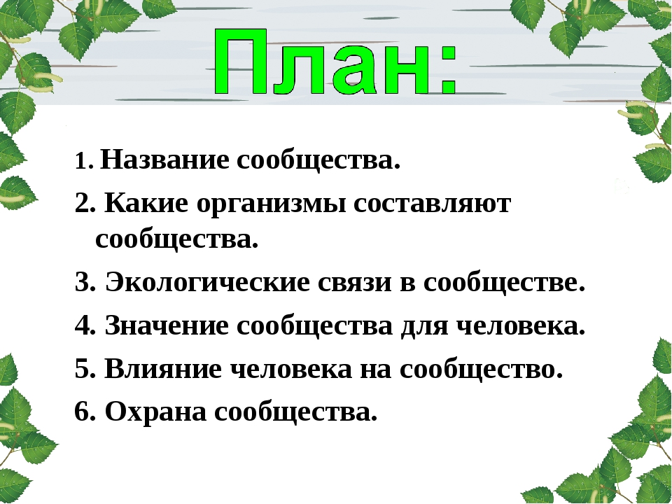 План изучения природного сообщества 4 класс