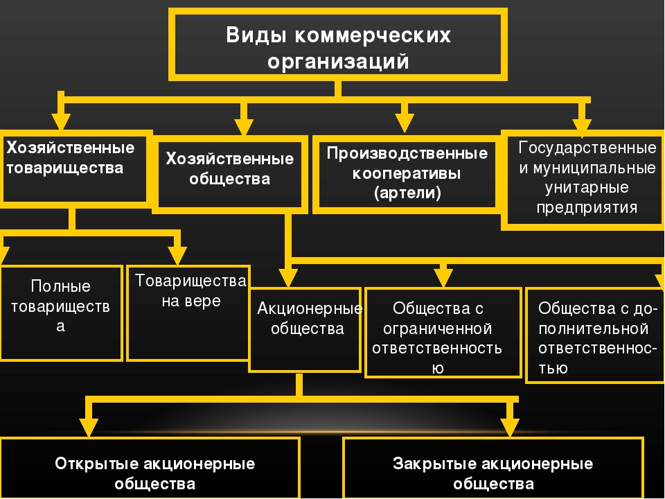 По какому критерию выделены следующие типы проектов коммерческие некоммерческие