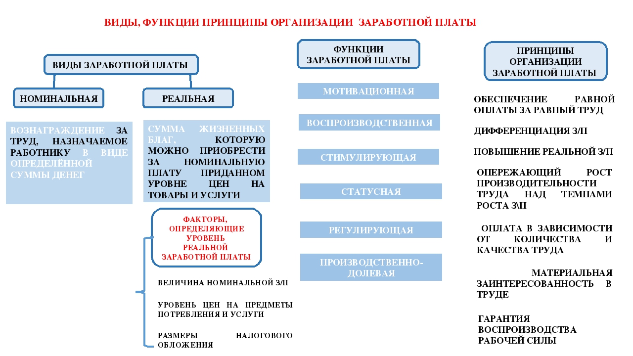 План зарплата егэ