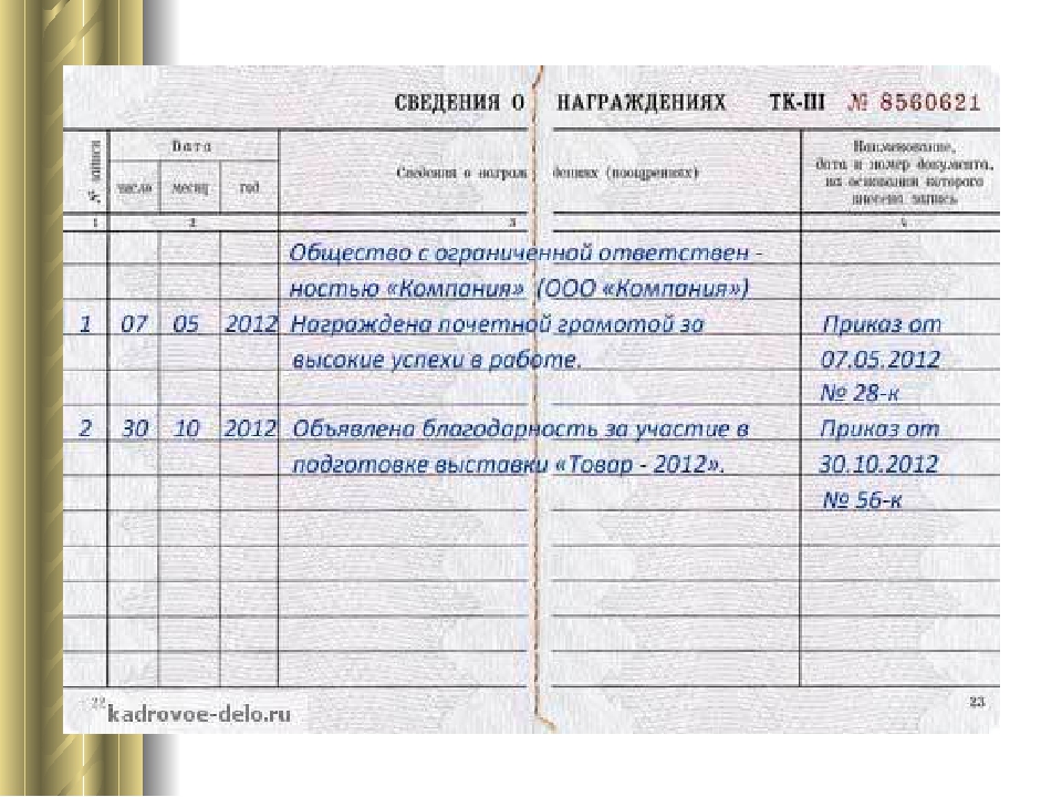 Запись в трудовой о смене наименования в организации образец