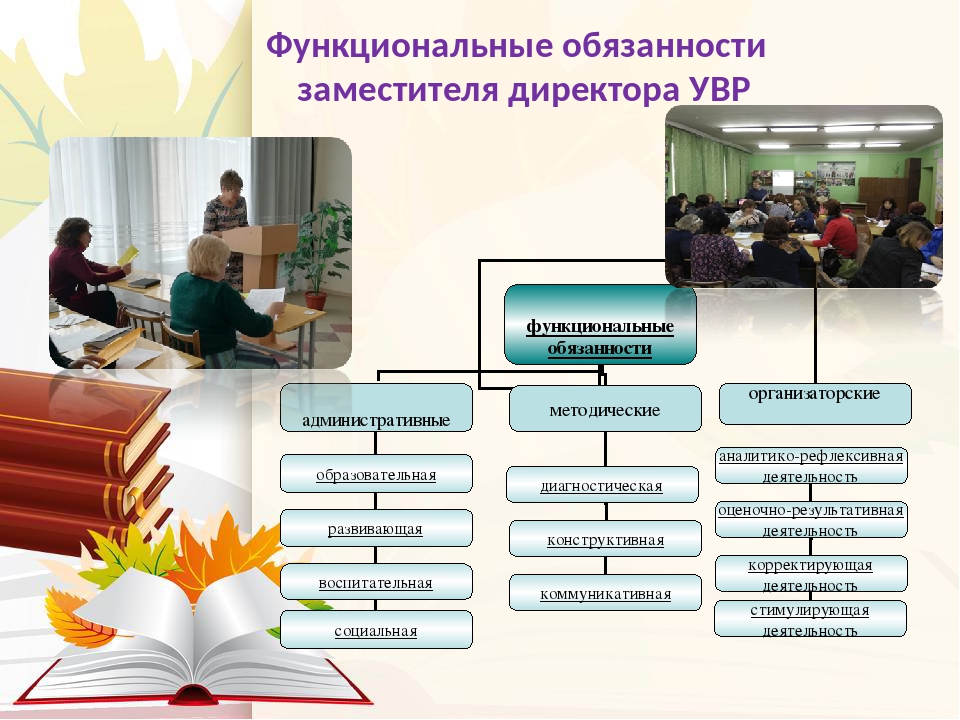 Обязанности заместителя директора магазина. Обязанности заместителя директора. Обязанности зам директора. Должность заместитель директора.