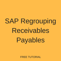 SAP Regrouping Receivables Payables