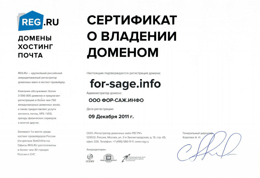 Доменный сертификат. Сертификат о владении доменом reg.ru. Сертификат о регистрации домена reg.ru. Сертификат на владение доменом. Сертификат о регистрации доменного имени.