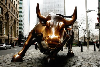 Accredited Investor, Wall St. Bull 