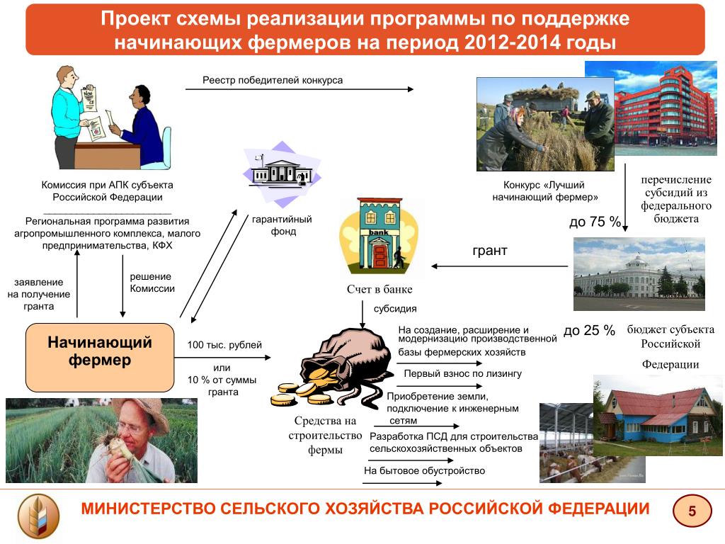 Бизнес план связанный с сельским хозяйством