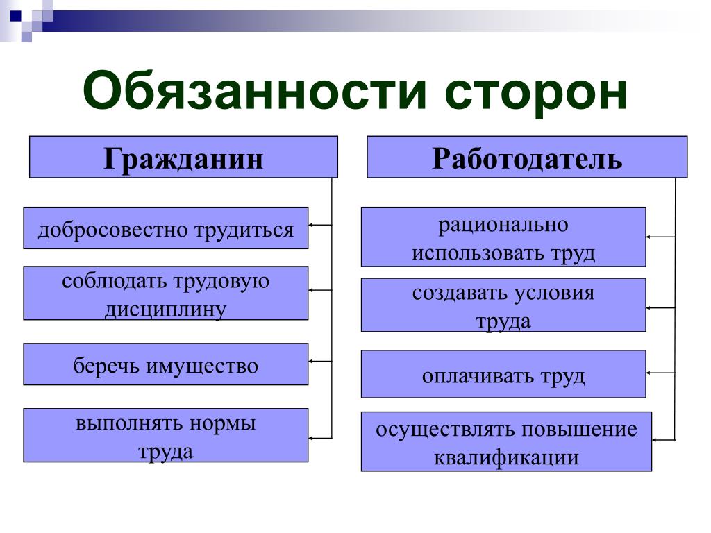 Составьте схему прав и обязанностей работника и работодателя