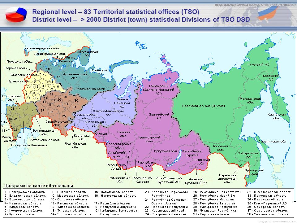 Regional level – 83 Territorial statistical offices (TSO) District level – > 2000 District (town) statistical Divisions of TSO DSD