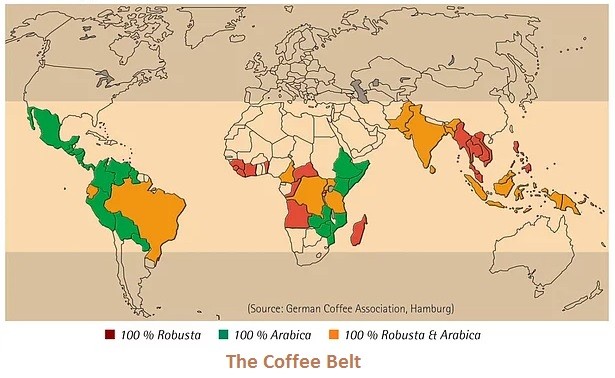 dünyada kahve üreten ülkeler